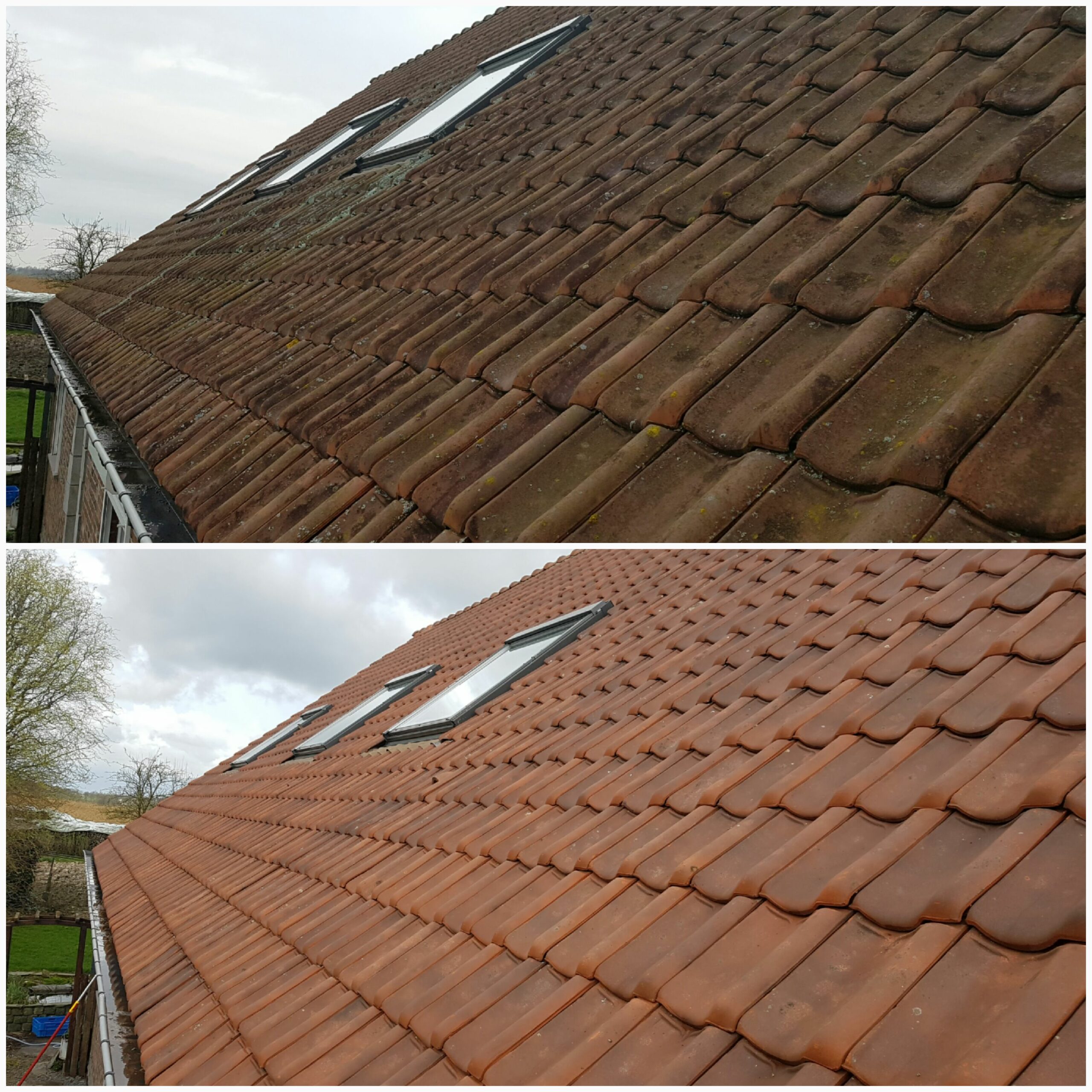 20160929_133203-scaled