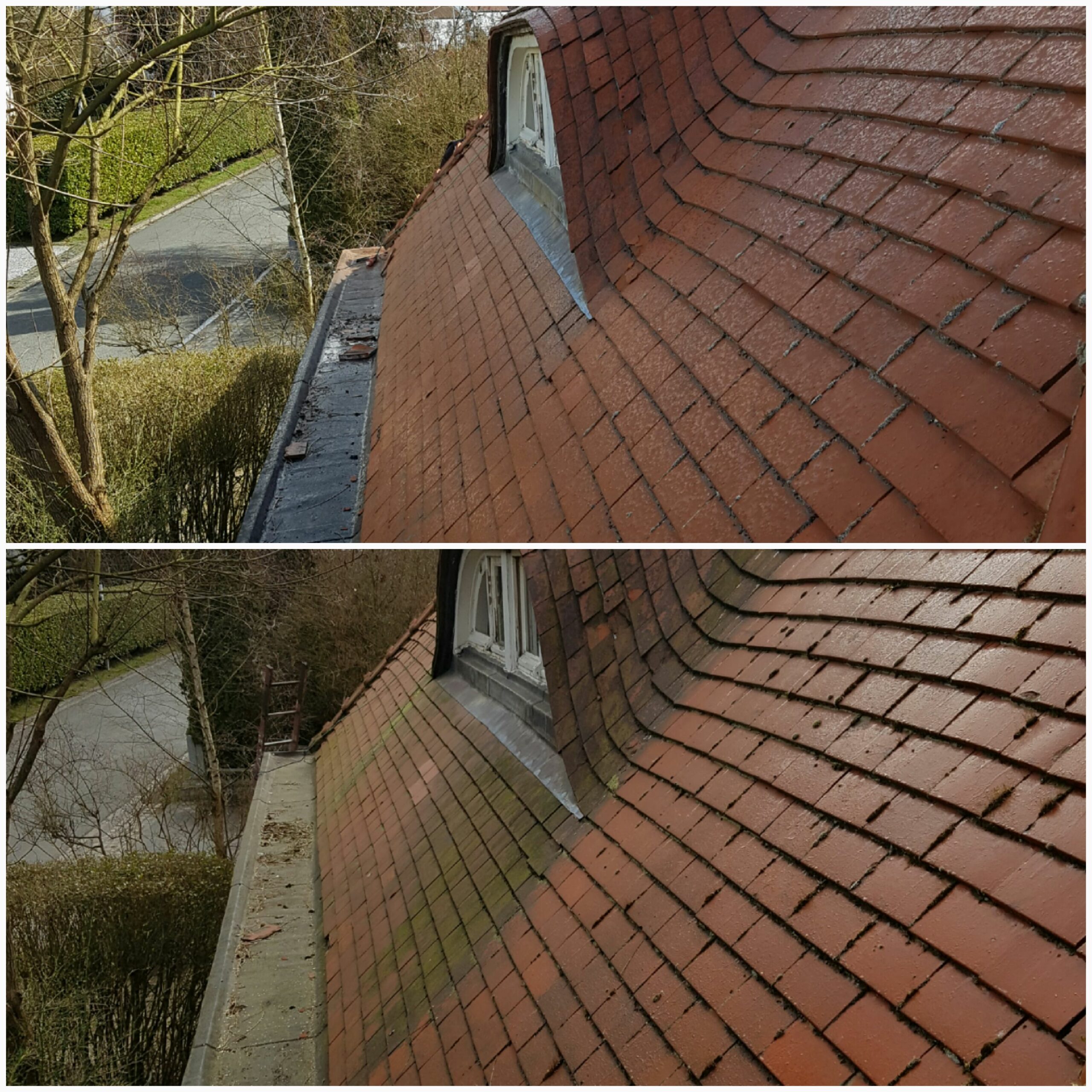 20160929_133239-scaled