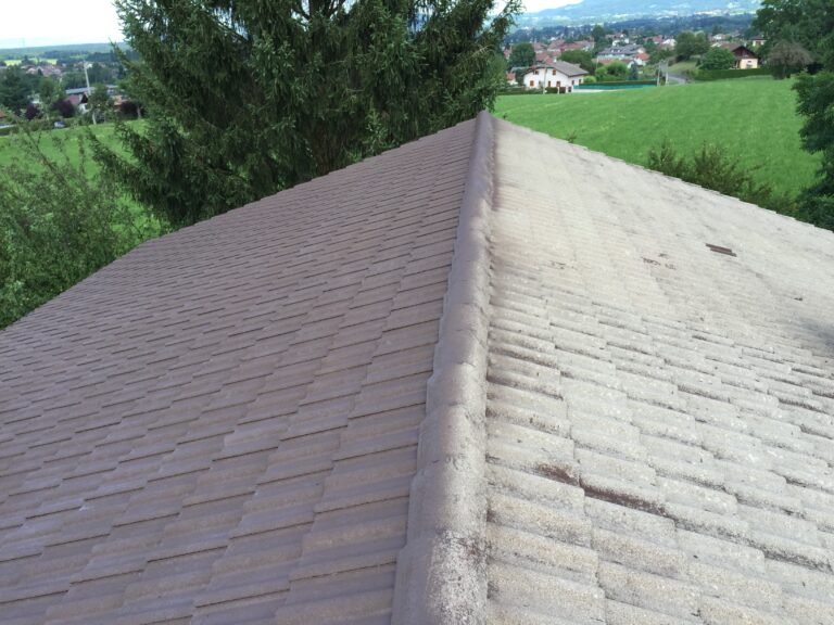 Faîtage et versant de toiture en tuiles plates