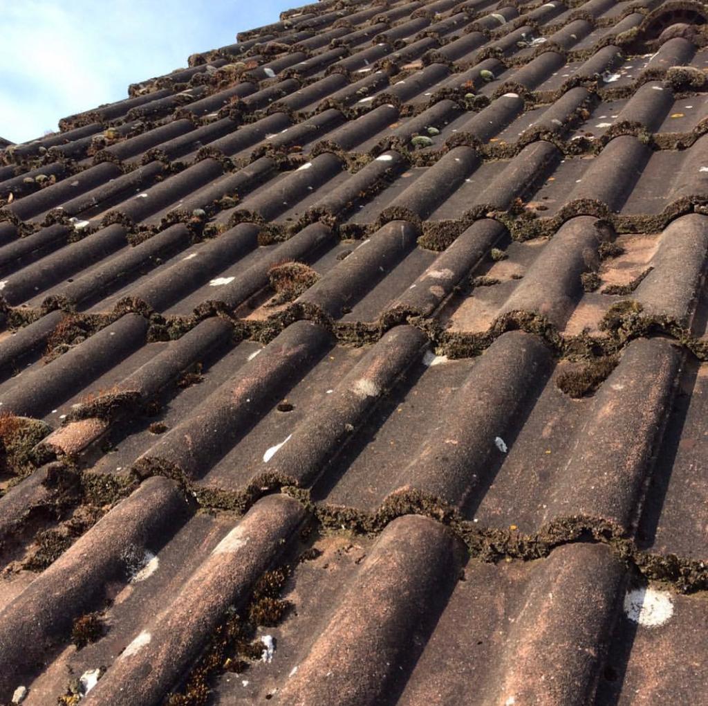 edbbd666-aea9-4cca-9ae5-78e81bfc0f95